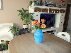 Appt juan les pins soleil mer